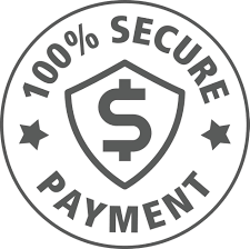 100% Secure Payment Enjoy