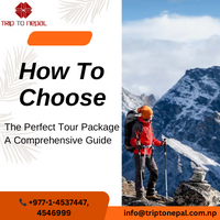 How to Choose the Perfect Tour Package: A Comprehensive Guide