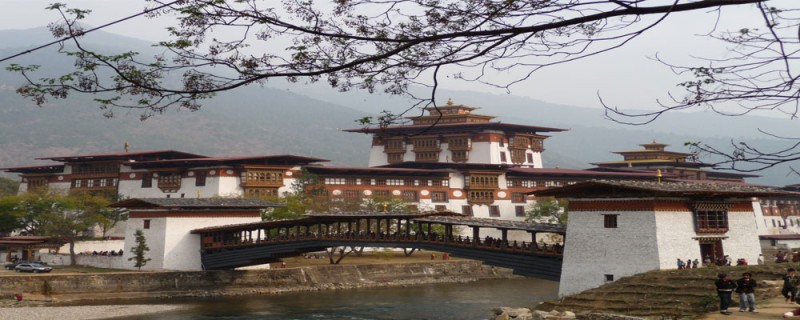 The Magic of Bhutan